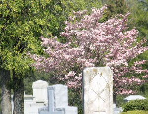 IMG_0557