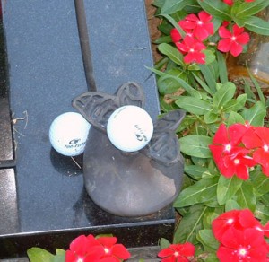 image of golf balls at gravesite.
