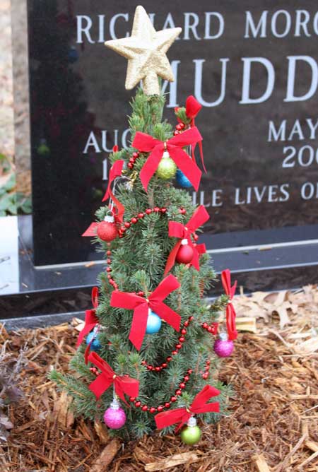 Richard's 2010 Christmas tree.